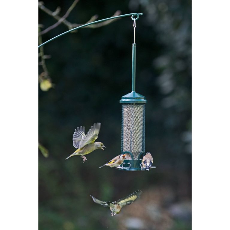 Squirrel Proof Feeders from Jacobi Jayne
