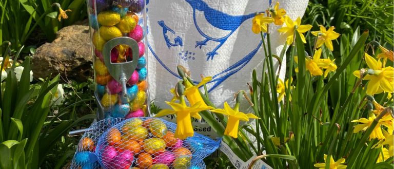easter competition