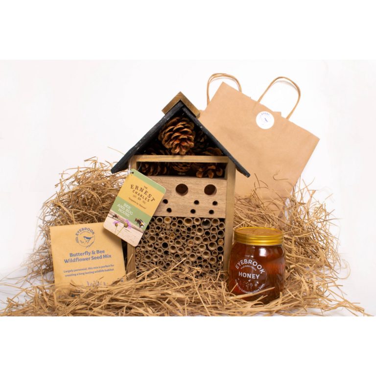 Bee Gift Bundle. Honey honey! A bee and bug insect house with a packet of wildflower seed mix and of course a jar of honey