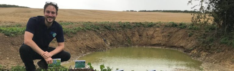 digging a pond