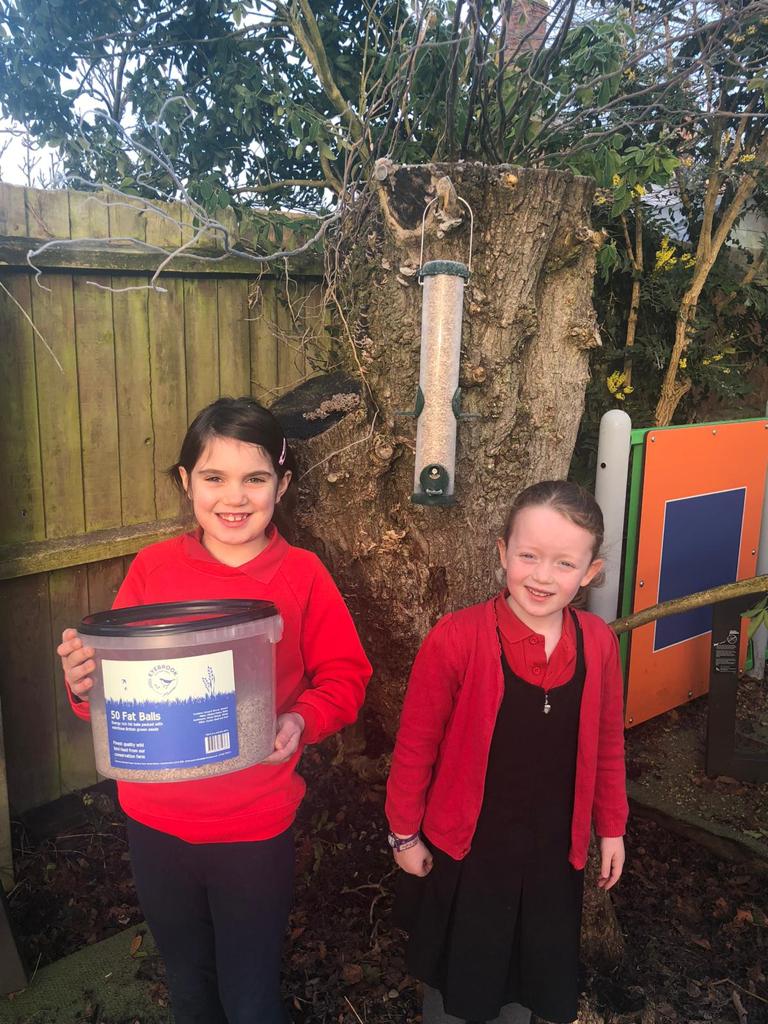 Are you ready for Birdwatch? Our local schools are contact us and find out how we can help you