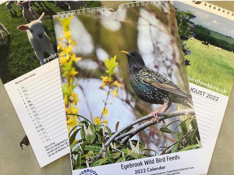 Eyebrook 2022 calendar
