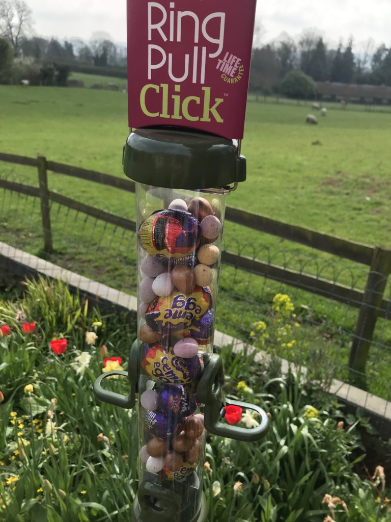 Easter competition how many eggs are in the feeder!