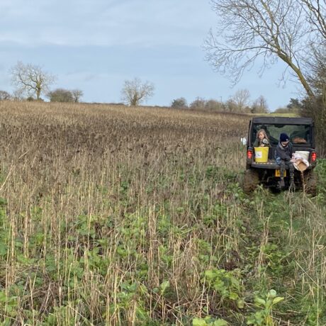 Supplementary Feeding Mix