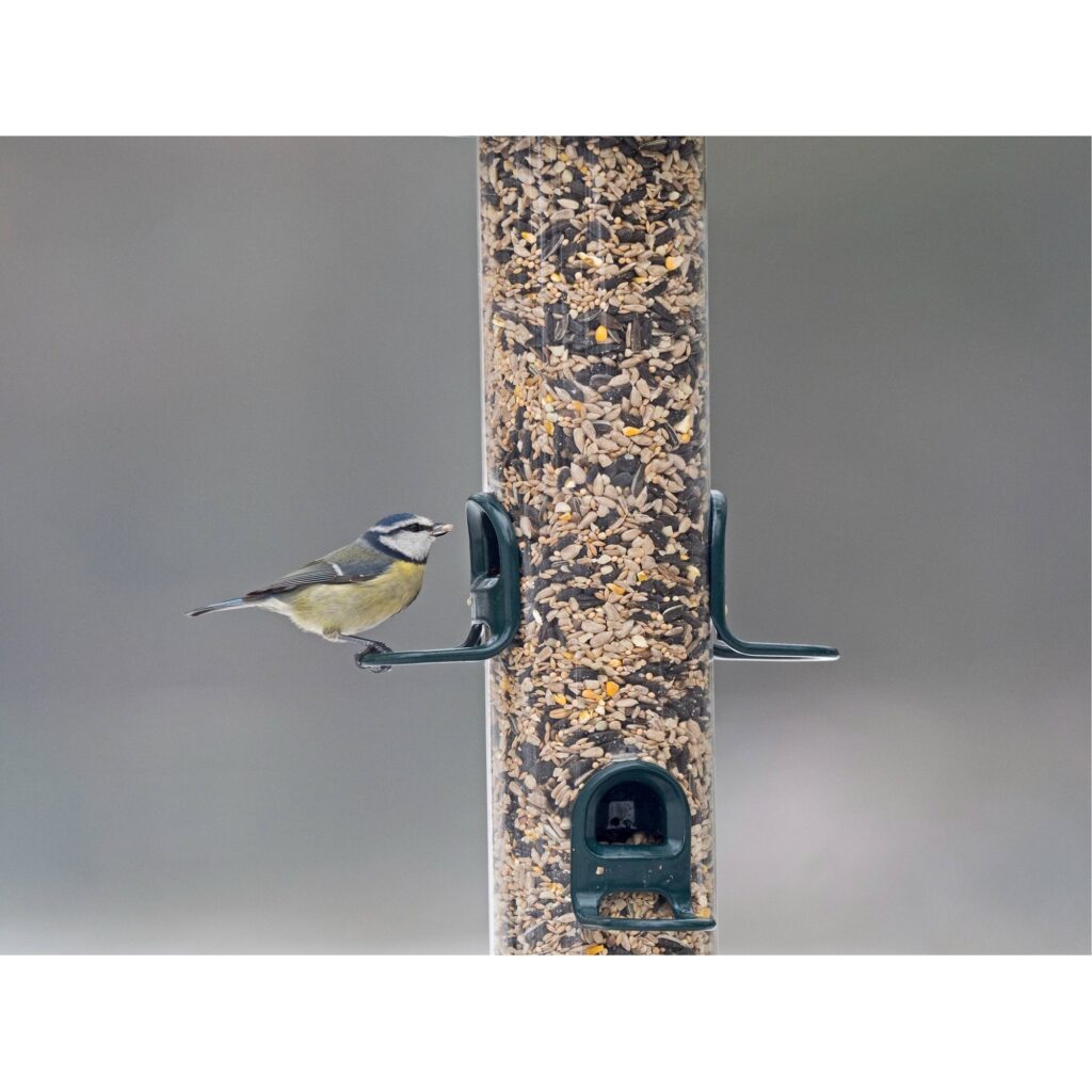 Jacobi JayneÂ® Bird Loversâ„¢ - Mangiatoia Per Uccelli Di Piccola