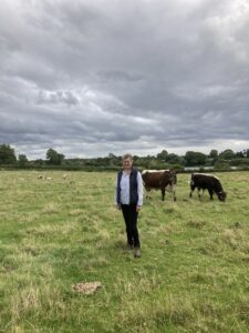 One of our fantastic Supplementary feeding farmers with her Longhorn cattle. Contact us for supplementary feeding advice