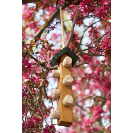 Tom Chambers Suet Log Feeder