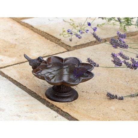 Old Iron Buttercup bird bath with a perching bird on the side, keep the birds hydrated in this extreme heat they feel it too!