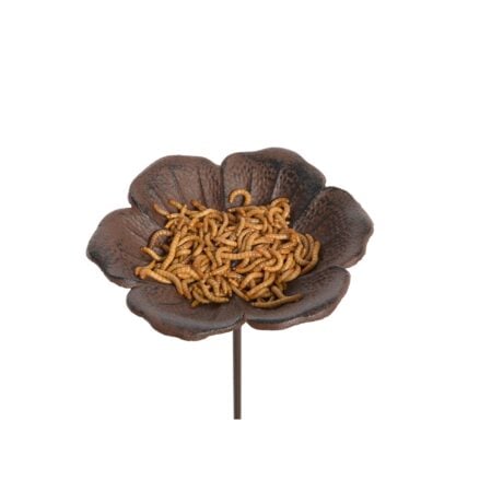 Old Iron Rustic flower bed feeder Poppy dish perfect for seeds or water. Help those boarders bloom