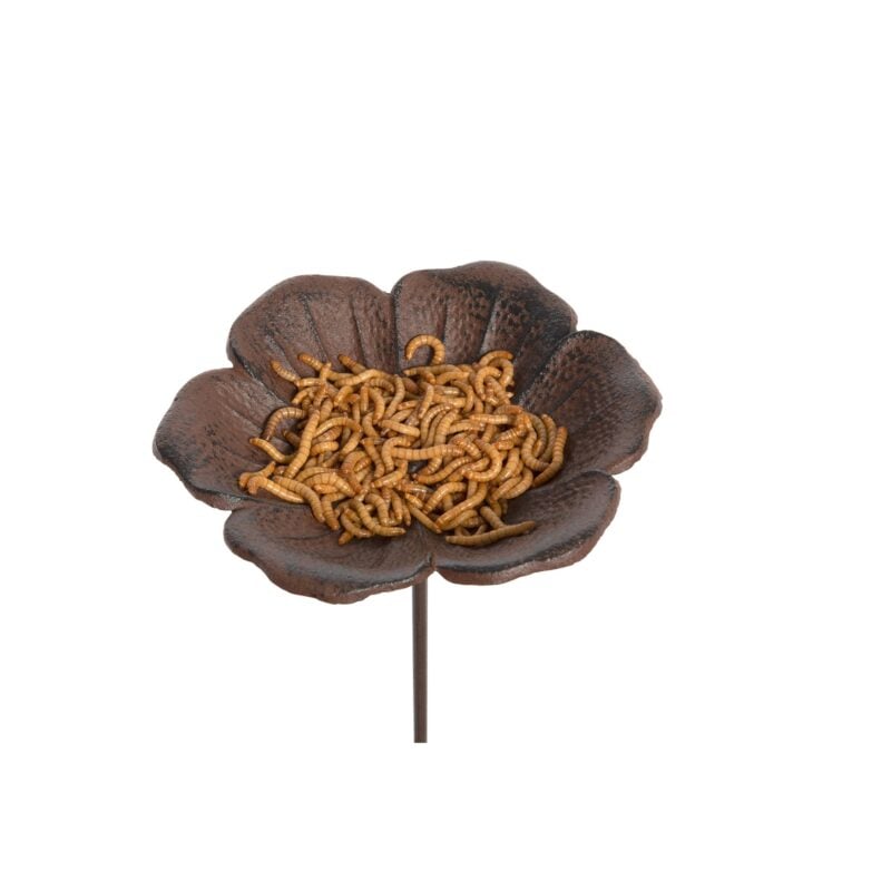 Old Iron Rustic flower bed feeder Poppy dish perfect for seeds or water. Help those boarders bloom