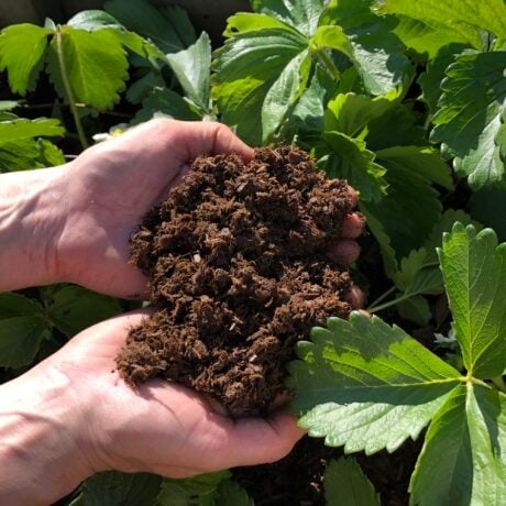 Natural Grower Natural Plant Feed & Soil Conditioner