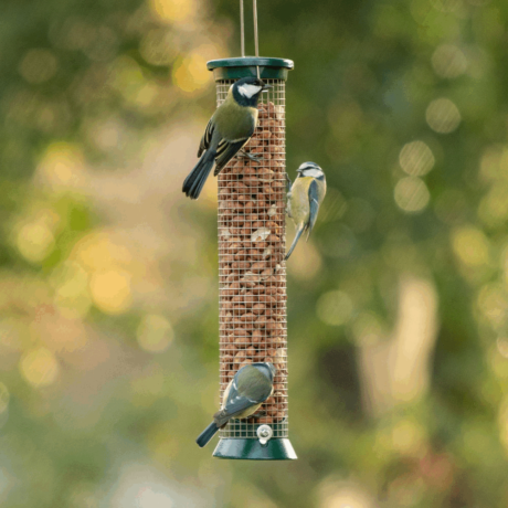 Metal Peanut Feeder available at Eyebrook Wild Bird Feeds