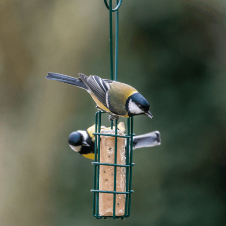 Peru Suet Log Feeder Scoop & Feed