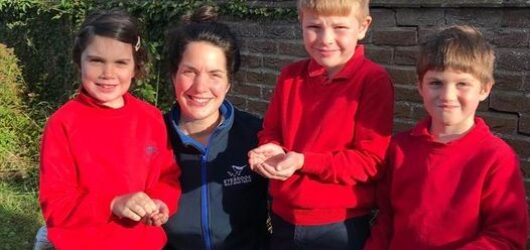school children feeding birds