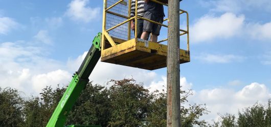 Putting up an owl box, We do anything we can to help here in Great Easton on our Conservation farm